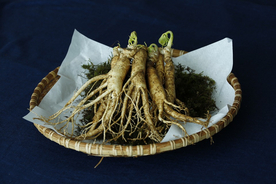 Ginseng Wirkung