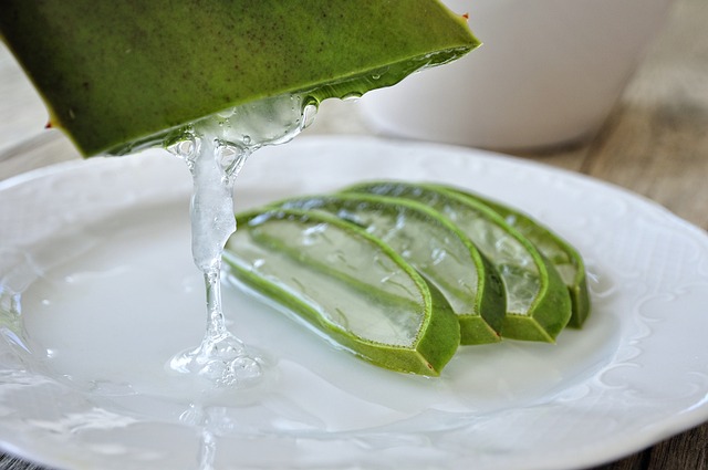 Zunderschwamm Haarshampoo mit Aloe selber machen